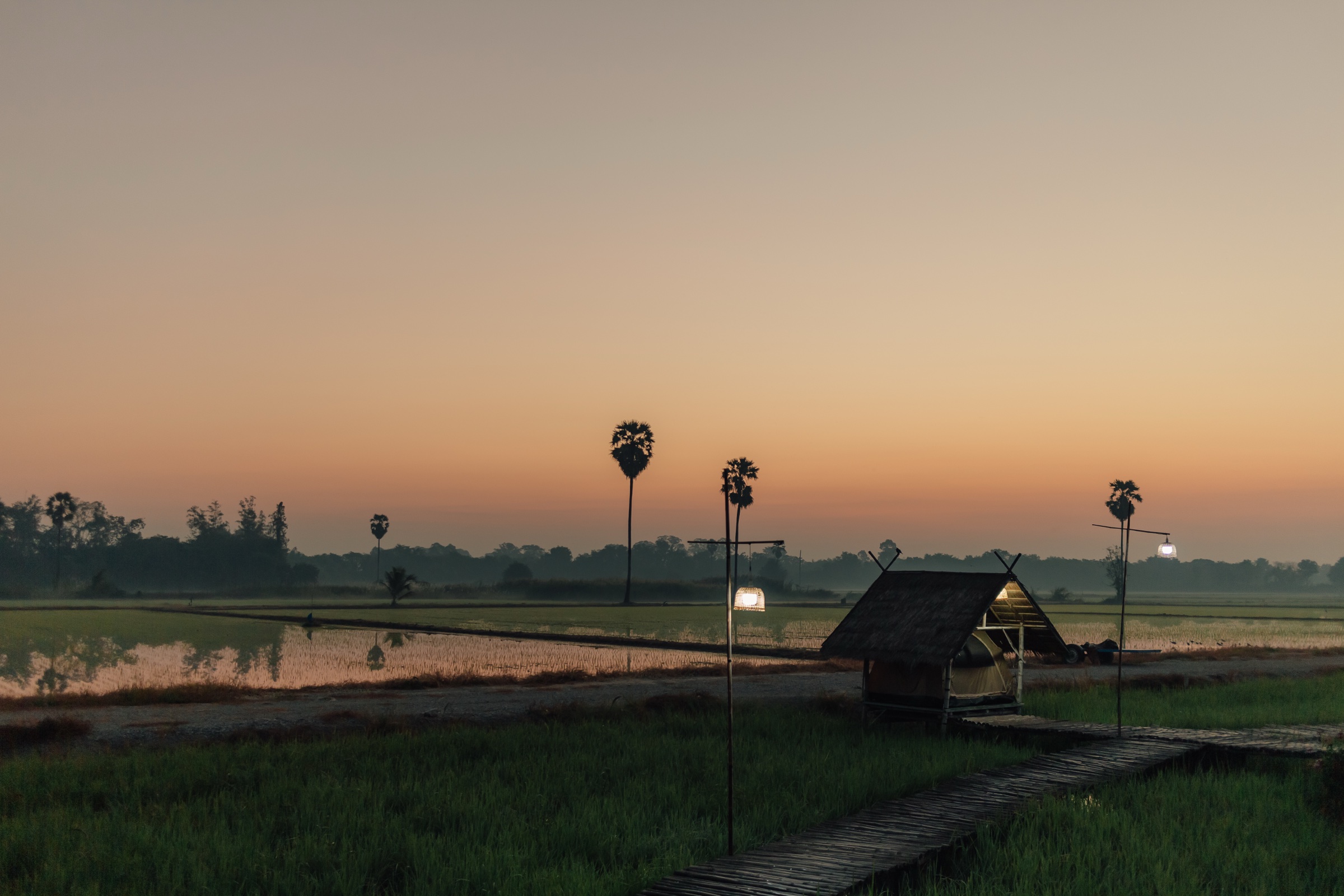 Rice paddies with sugar palms and a small thatched hut under an orange dusk sky.